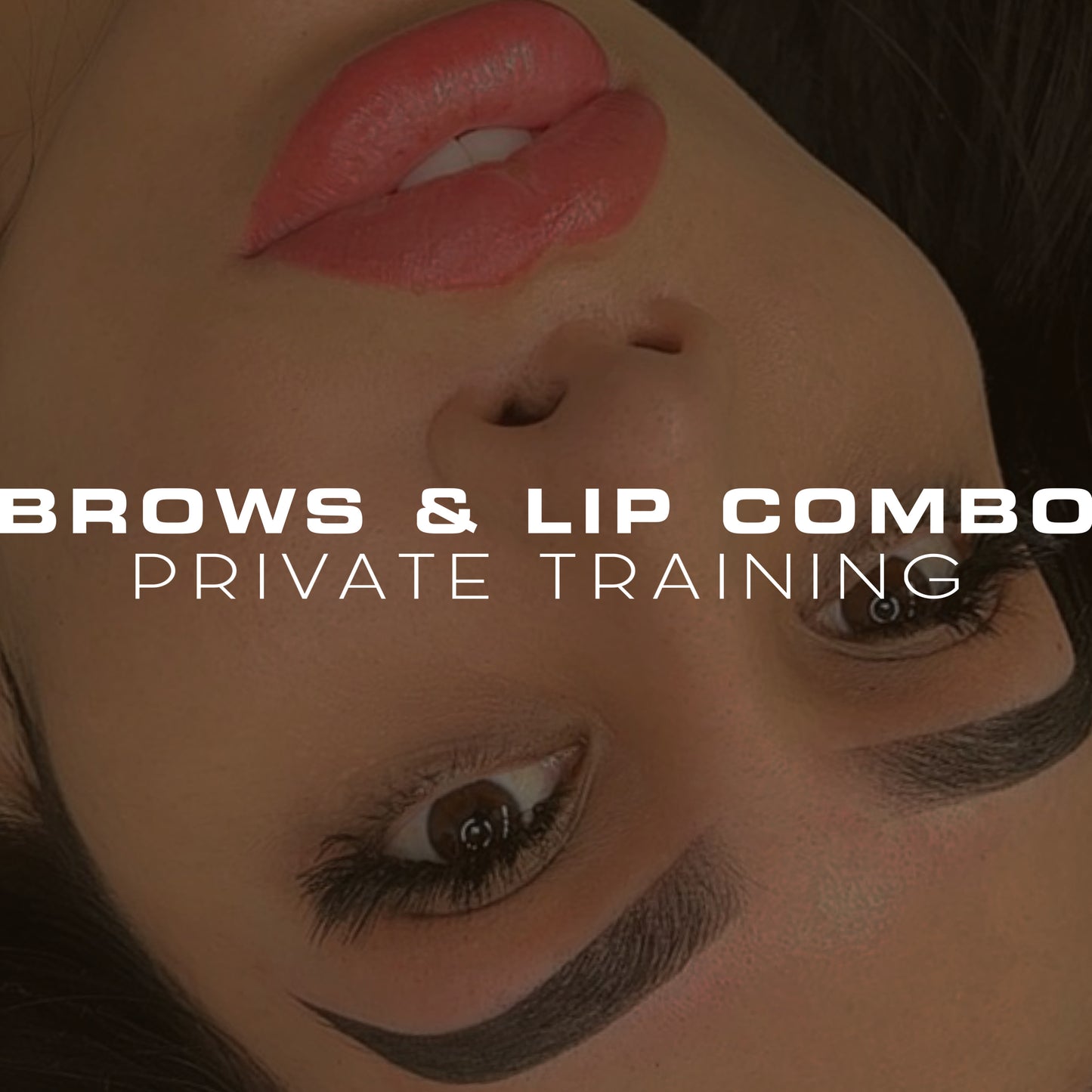 Brows and Lips Private Training