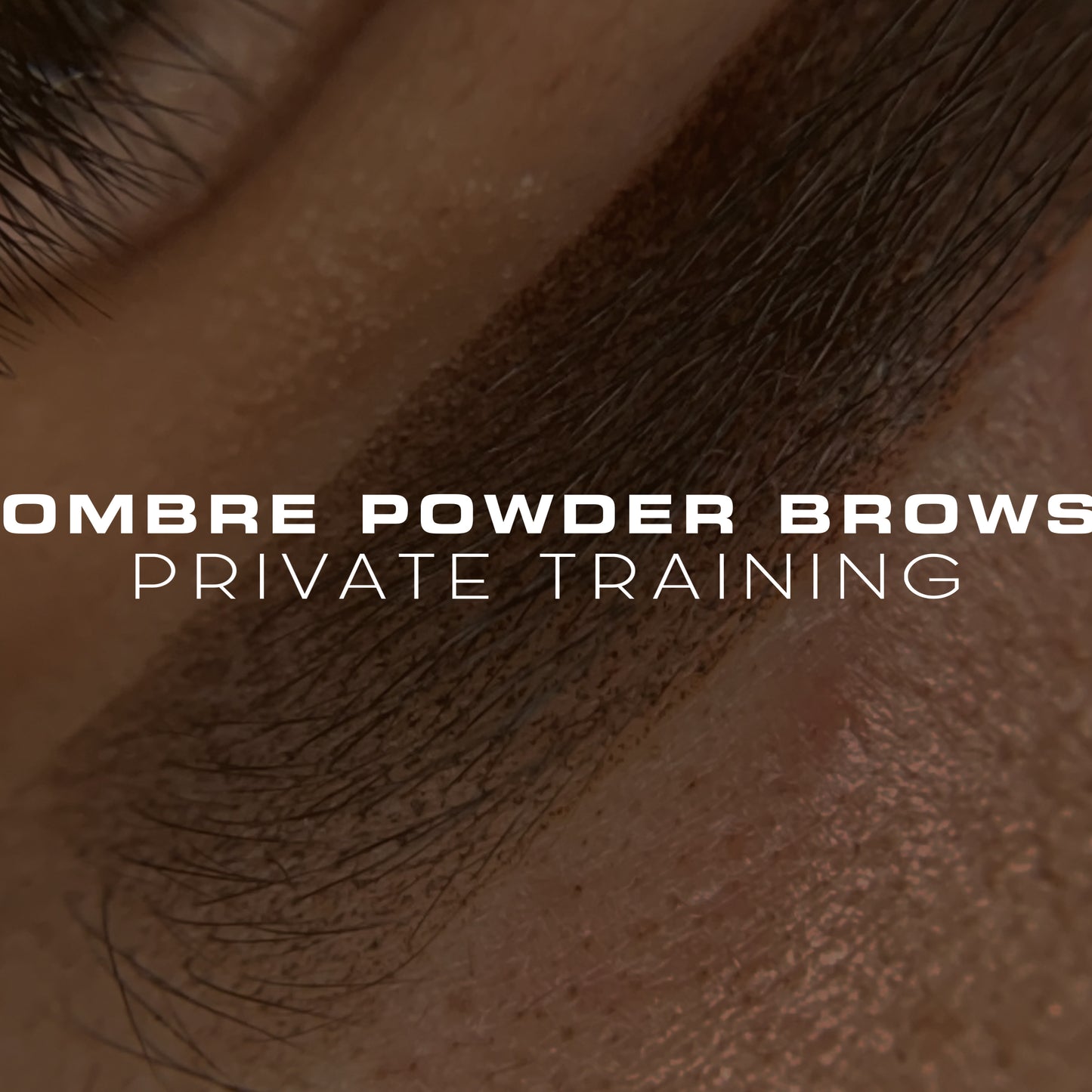 Ombre Powder Brows Mastery Private Training